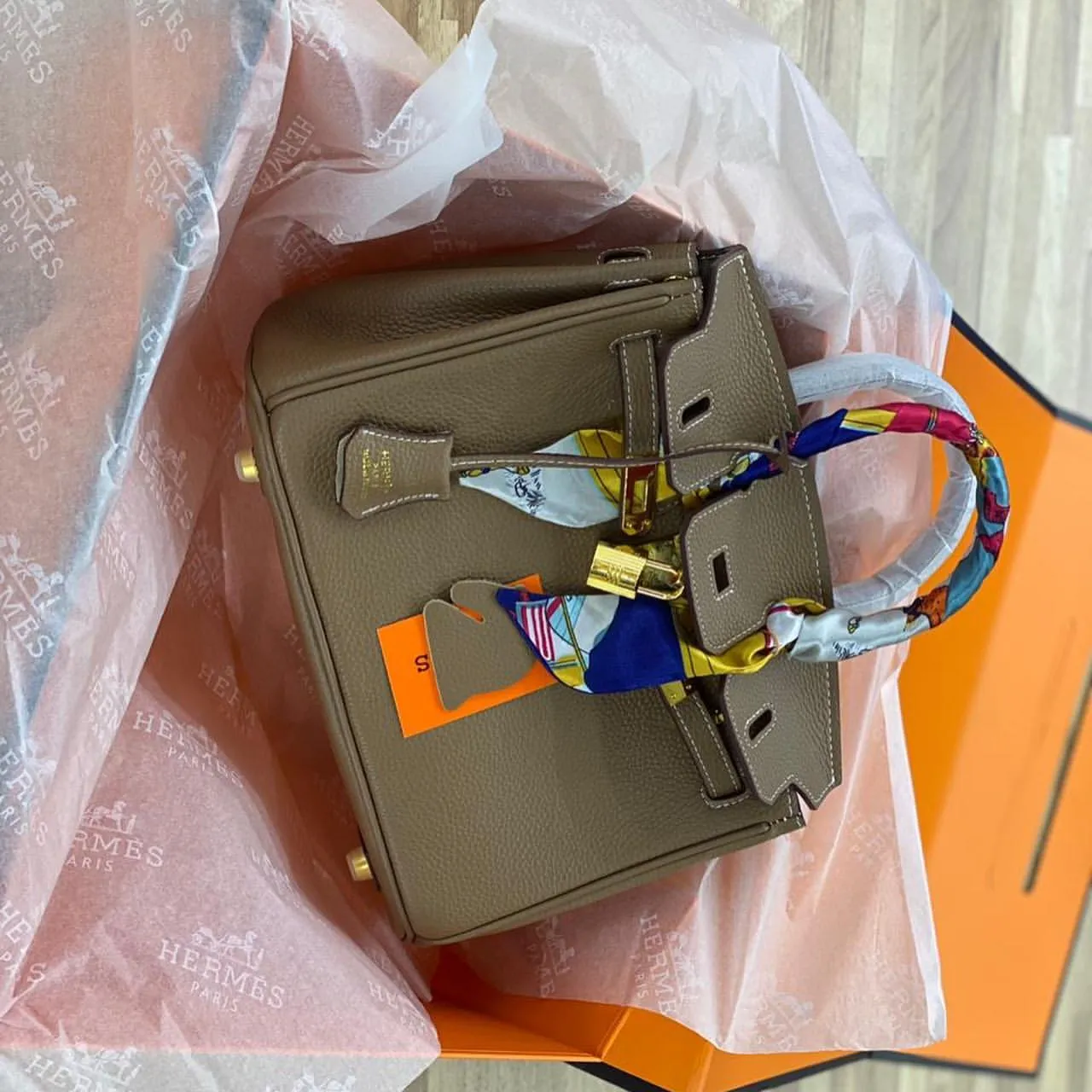 Designer Handbags - HMS - 6289
