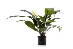 Flora Artificial Spathiphyllum Lily 530mm White